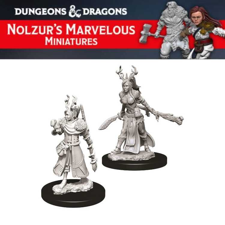 Female Human Druid (1ct)
