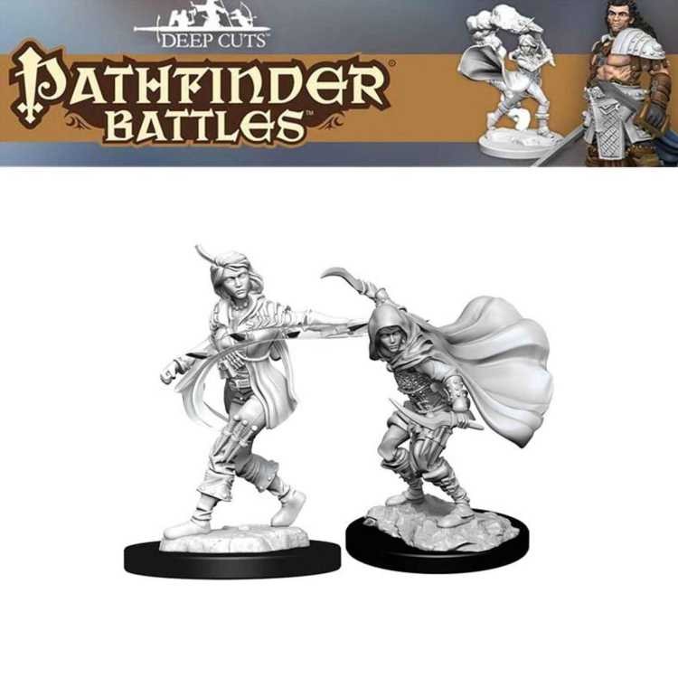 Female Human Rogue (2ct)