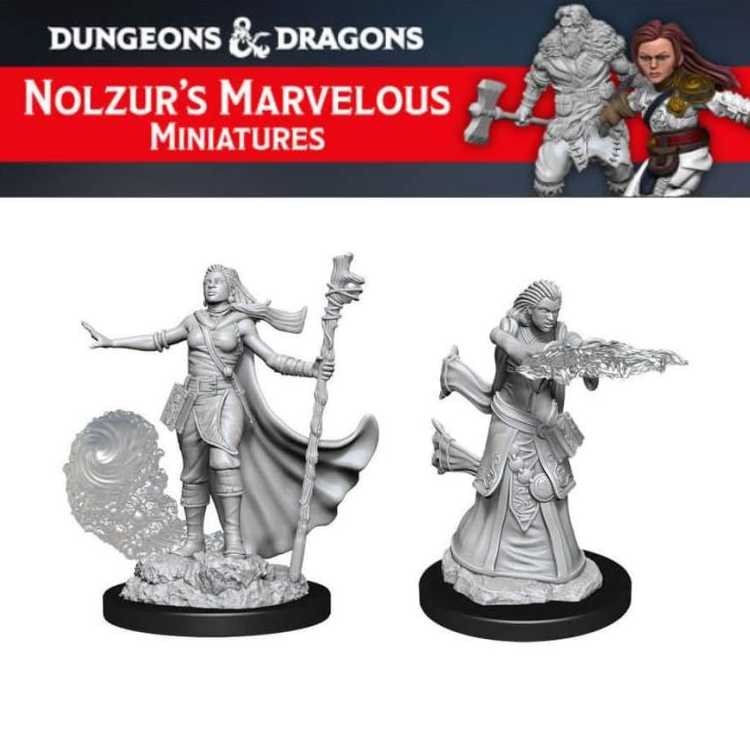 Female Human Wizard (2ct)