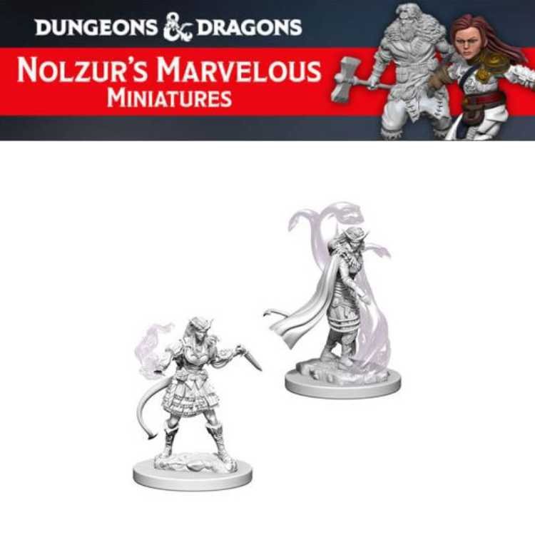 Tiefling Female Sorcerer (2ct)