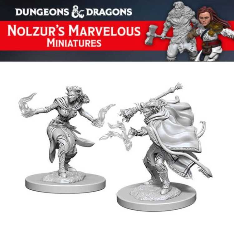 Female Tiefling Warlock (2ct)