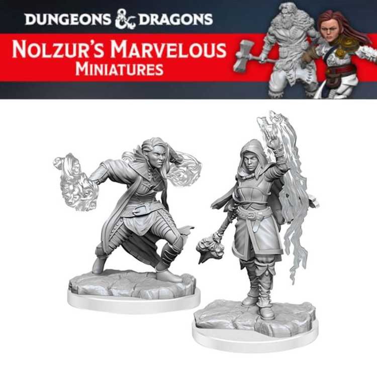 Half-Elf Warlock (2ct)