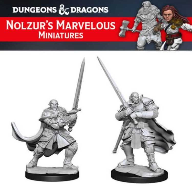 Half-Orc Paladin Male (2ct)
