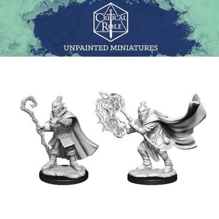 Hobgoblin Wizard and Druid Male (2ct)
