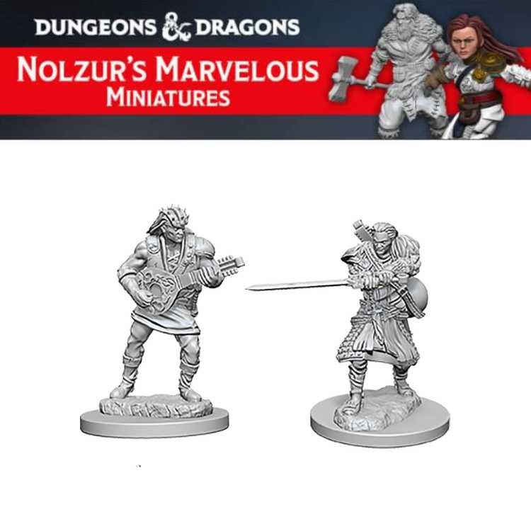 Human Male Bard (2ct)