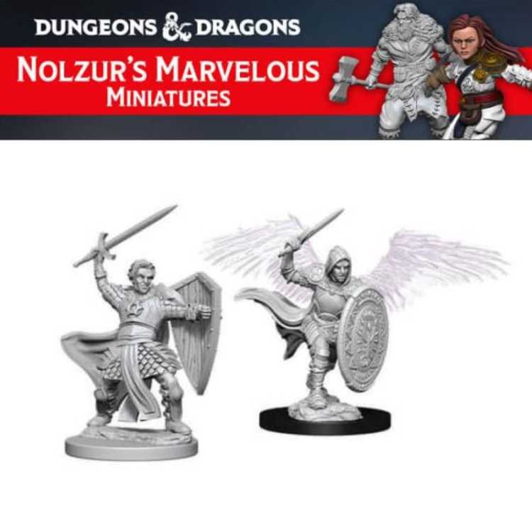 Aasimar Male Paladin (2ct)