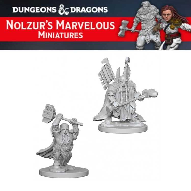 Dwarf Male Paladin (2ct)