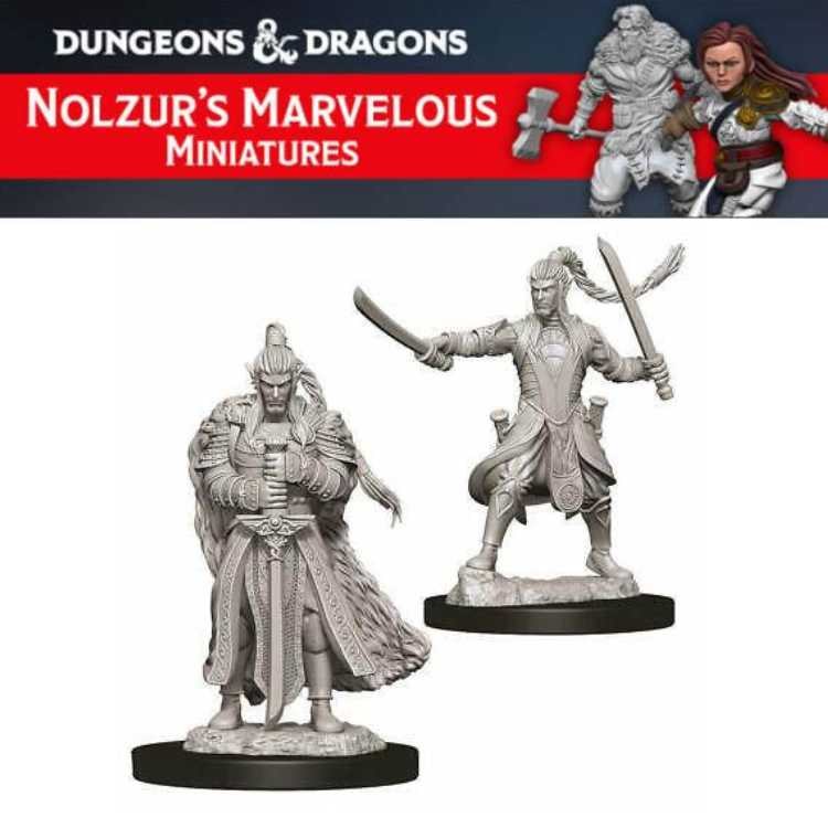 Male Elf Paladin (2ct)