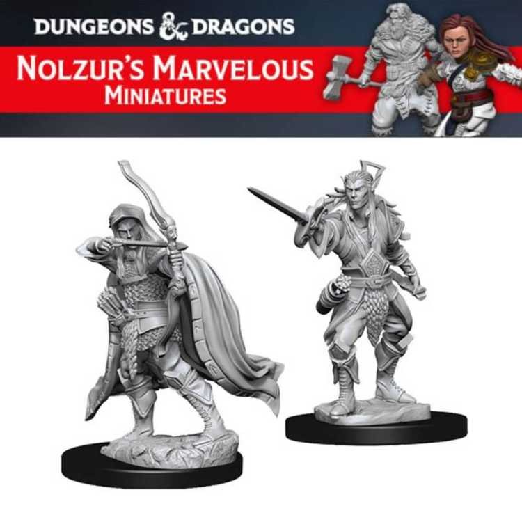 Male Elf Rogue (2ct)