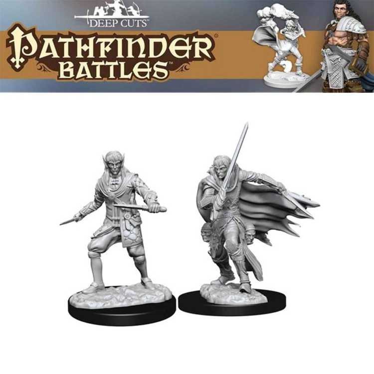 Male Elf Rogue (2ct)