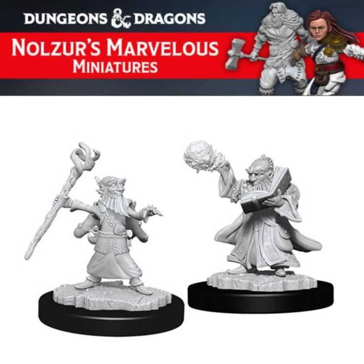 Male Gnome Wizard (2ct)