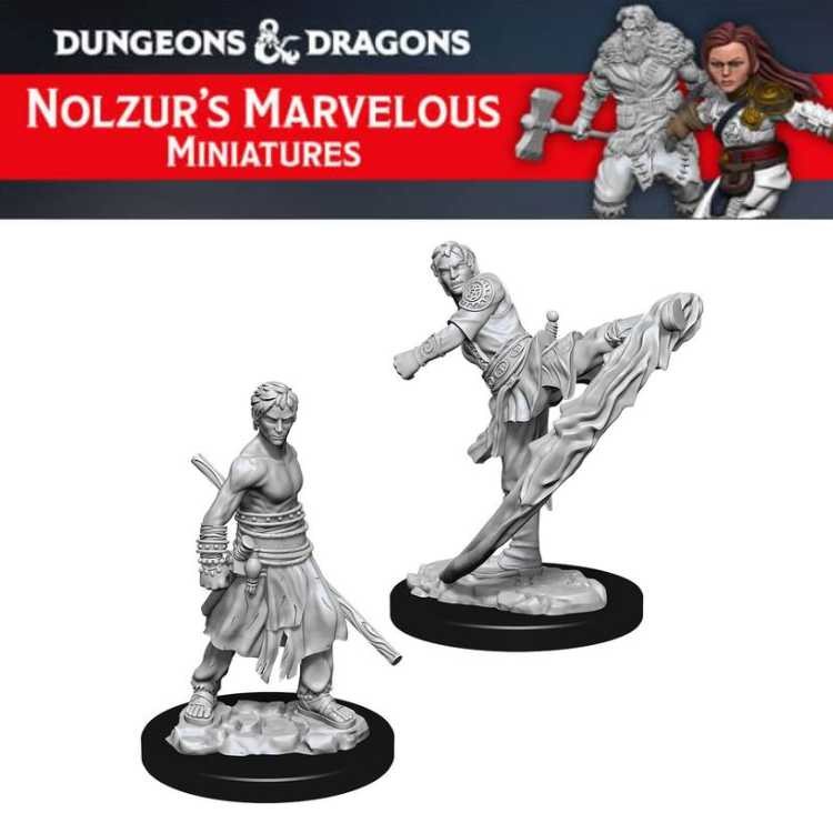 Male Half-Elf Monk (2ct)