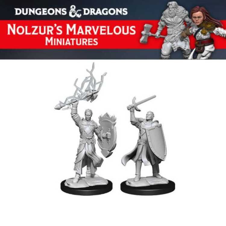 Male Half-Elf Paladin (2ct)