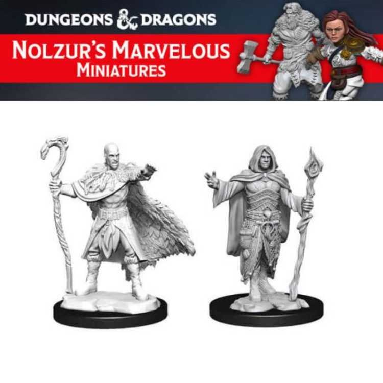Human Druid Male (2ct)
