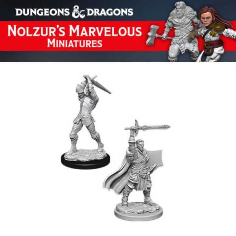 Male Human Paladin (2ct)
