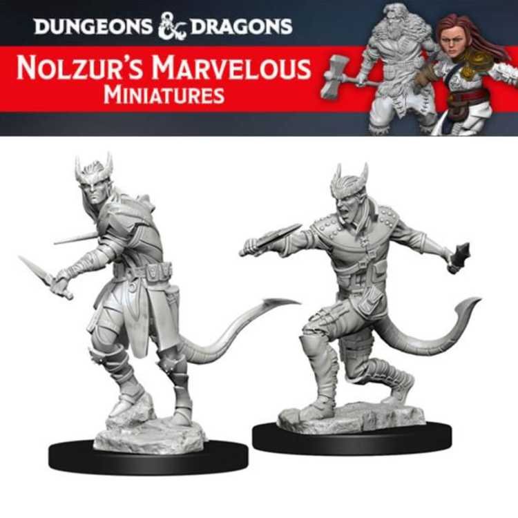 Tiefling Male Rogue (2ct)