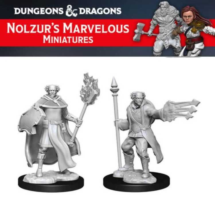 Multiclass Cleric + Wizard Male (2ct)