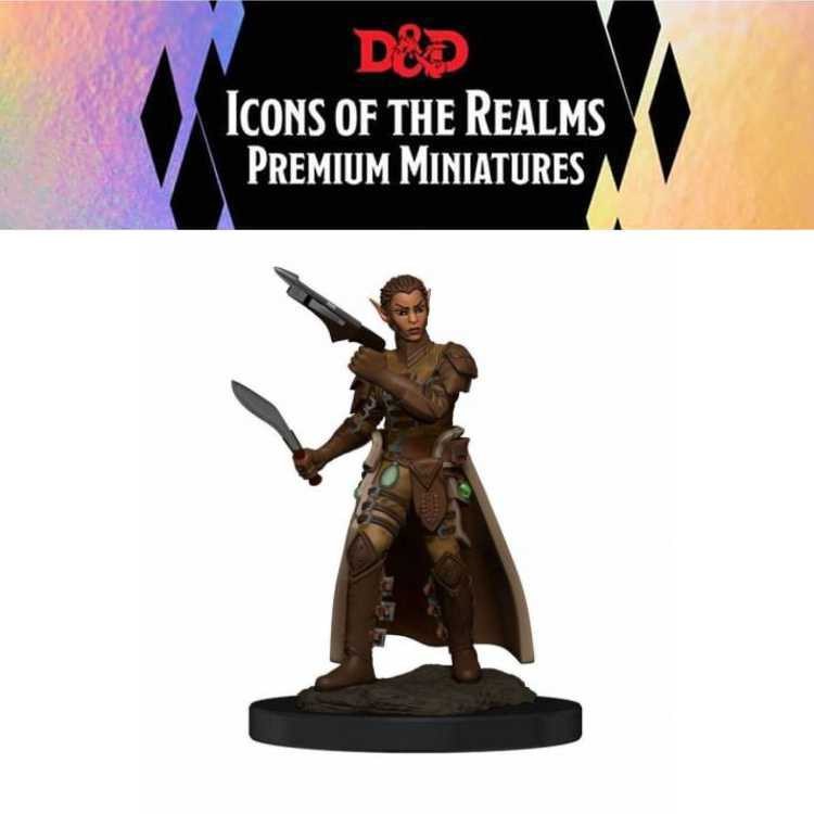 Premium Figures: Female Shifter Rogue (1ct)