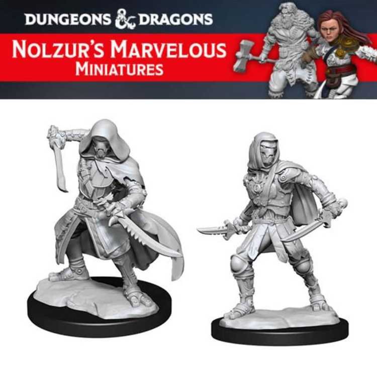 Warforged Rogue (2ct)