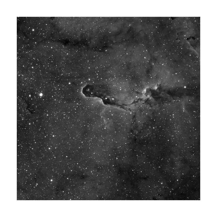 Elephants Trunk Nebula 2ft x 2ft Playmat