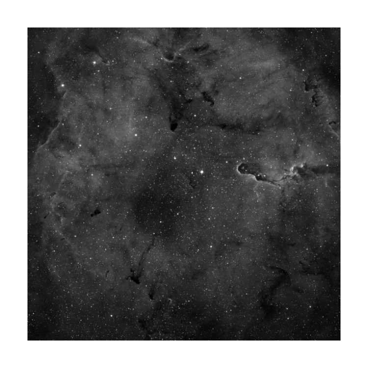 Elephants Trunk Nebula 4ft x 4ft Playmat