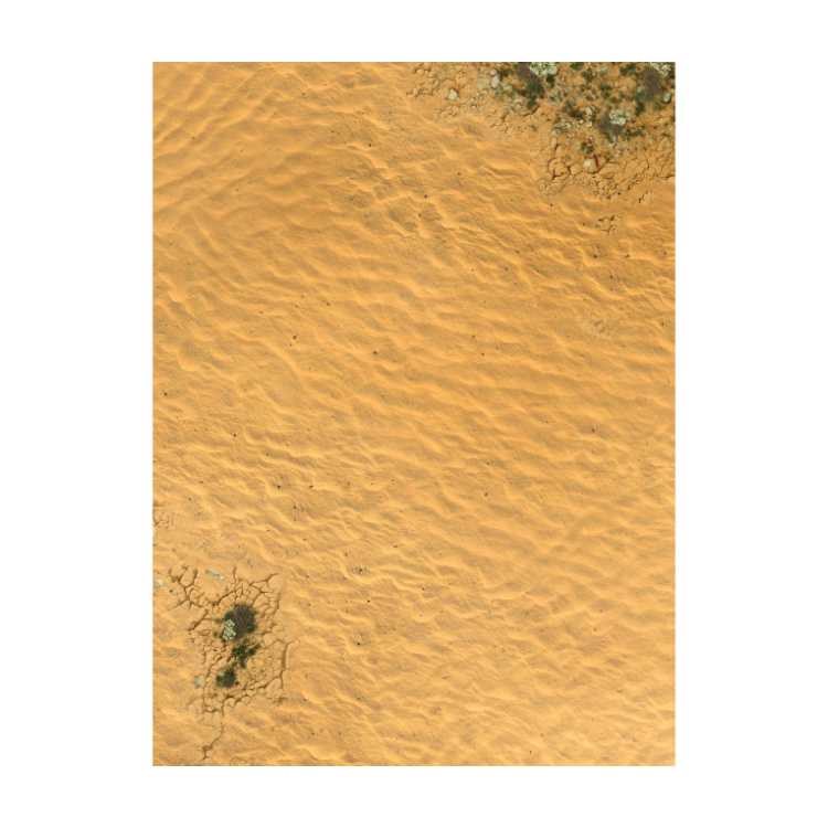 Desert 30" x 22" Playmat