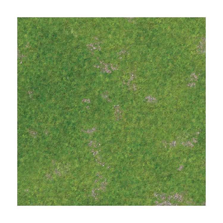 Rough Grassland 2ft x 2ft Playmat
