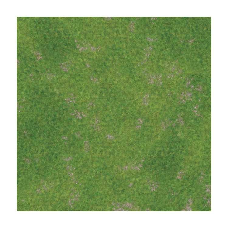Rough Grassland 3ft x 3ft Playmat
