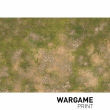 Design 016 - 30" x 44" Playmat