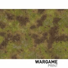 Design 019 - 60" x 44" Playmat