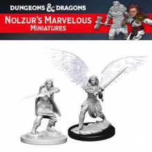 Aasimar Fighter (2ct)