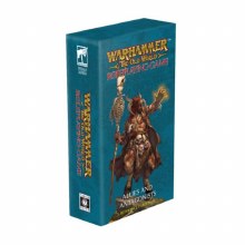 Allies & Antagonists Card Deck