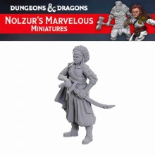 Ansalon Human Rogue (1ct)