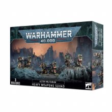 Cadian Heavy Weapons Squad