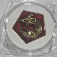 Clan Sea Fox Challenge Coin