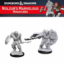 Dragonborn Male Fighter (2ct)