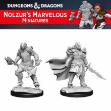 Dragonborn Fighter Female (2ct)