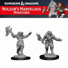 Dragonborn Fighter (2ct)
