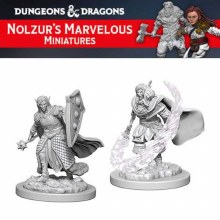 Elf Male Cleric (2ct)