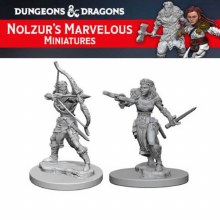 Elf Female Ranger (2ct)