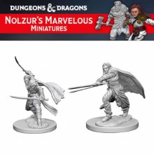 Elf Male Ranger (2ct)