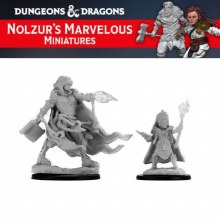 Elf Male Wizard (2ct)
