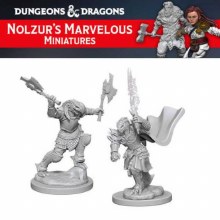 Dragonborn Female Fighter (2ct)