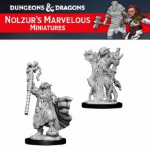 Female Dragonborn Sorcerer (2ct)