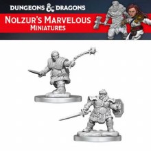Female Dwarf Fighter (2ct)