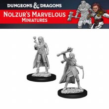 Female Elf Cleric (2ct)