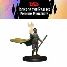 Premium Figures: Female Elf Druid (1ct)