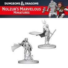 Elf Female Druid (2ct)