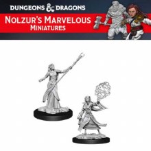 Female Elf Sorcerer (2ct)