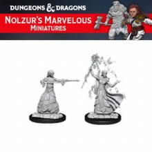 Female Elf Wizard (2ct)